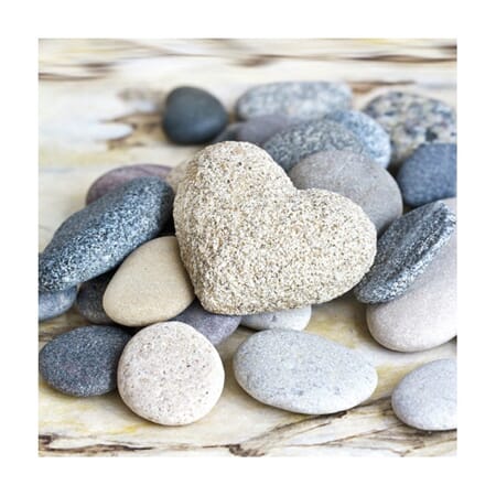 Serviett steiner strand maritim pebbles 33x33cm 20pk